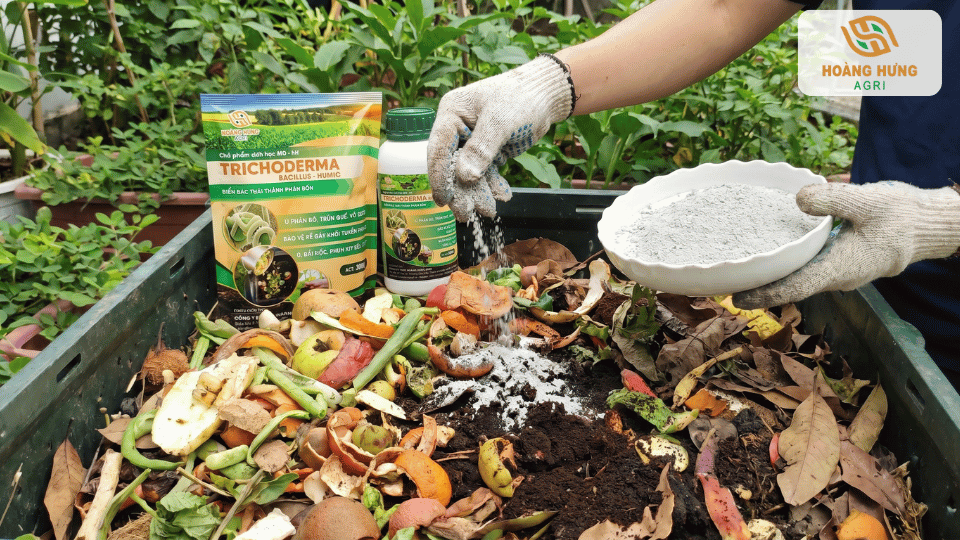Người làm vườn rắc chế phẩm Trichoderma lên rác hữu cơ để ủ phân compost tại nhà.