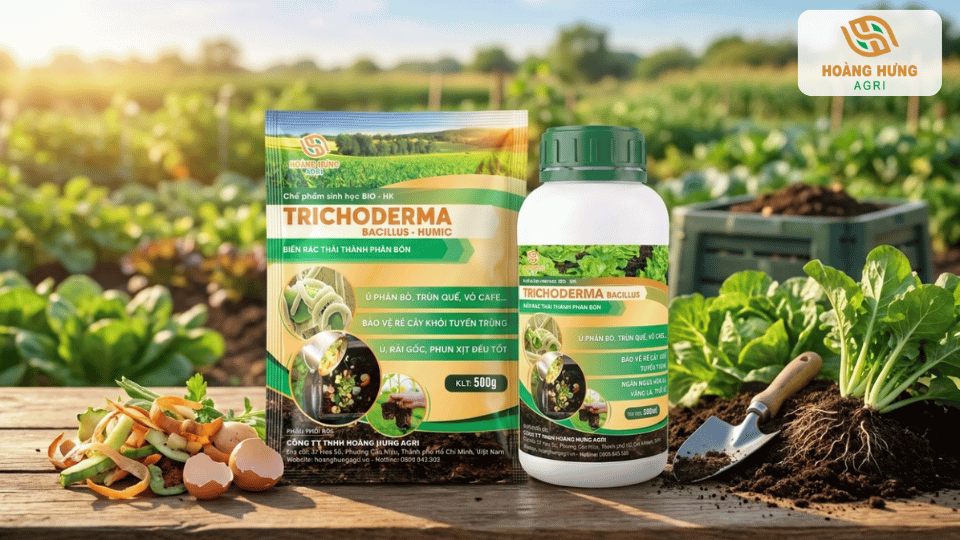 Sản phẩm Trichoderma dùng cho hoa lan giúp cải tạo giá thể và tăng sức đề kháng cho cây.