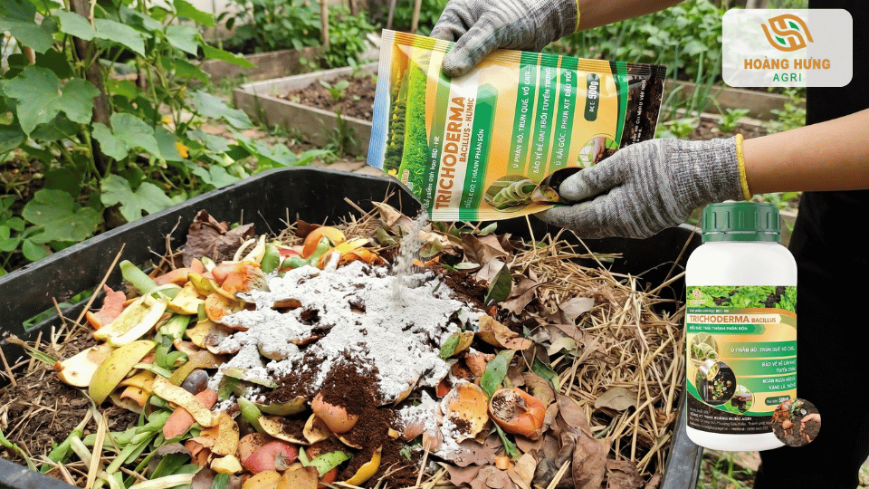 Sử dụng Trichoderma để thúc đẩy phân hủy rác hữu cơ và tạo phân compost giàu dinh dưỡng.