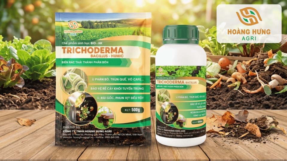 Chế phẩm Trichoderma Bacillus Humic giúp phân hủy hữu cơ nhanh, khử mùi hôi và bảo vệ bộ rễ khỏe mạnh.