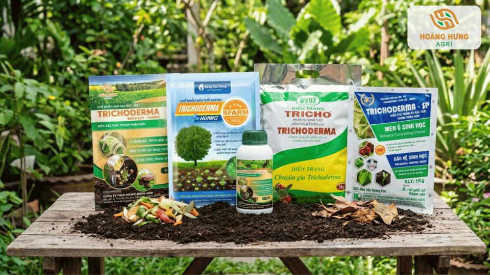 Các dòng sản phẩm Trichoderma phổ biến dùng cho xử lý đất và ủ phân hữu cơ