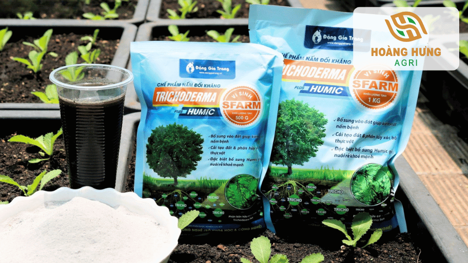 Trichoderma Humic hỗ trợ cải tạo đất, kích thích ra rễ và tăng sức đề kháng cho cây con ngay từ đầu vụ.