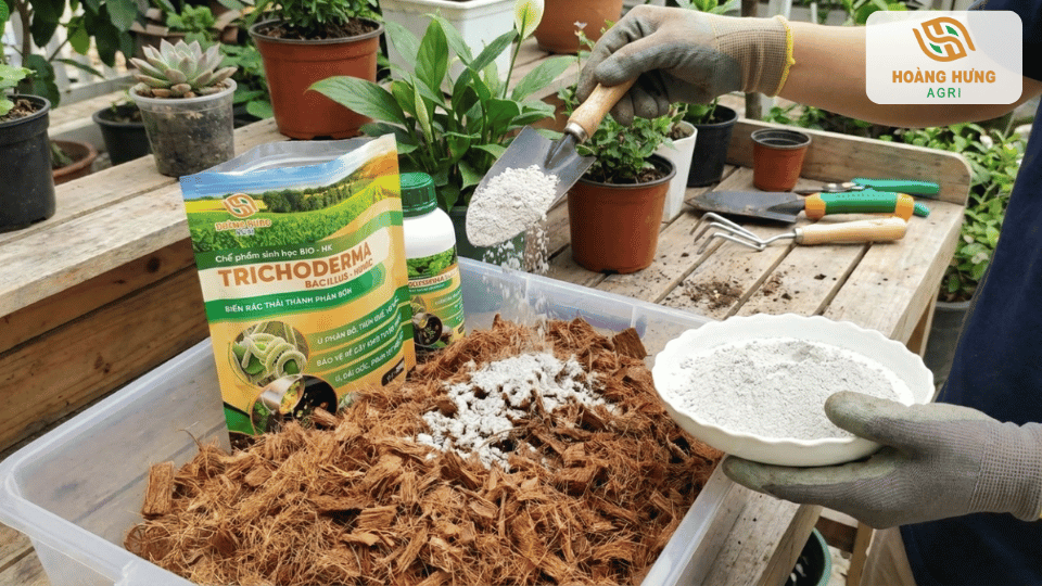 Hướng dẫn phối trộn Trichoderma với xơ dừa và giá thể hữu cơ
