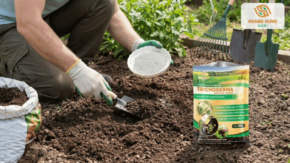 Người làm vườn sử dụng Trichoderma để xử lý đất trước khi gieo trồng cây mới.