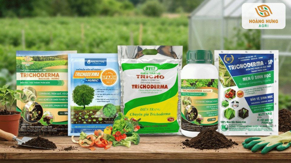 Các dòng chế phẩm Trichoderma dùng trong nông nghiệp hữu cơ