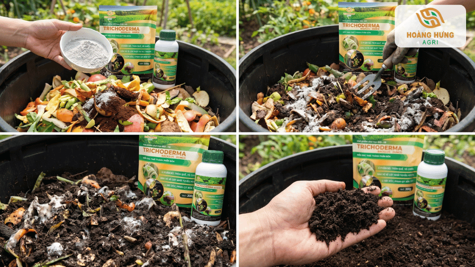 Quy trình ủ compost bằng Trichoderma từ rác hữu cơ đến thành phẩm đất mùn giàu dinh dưỡng.