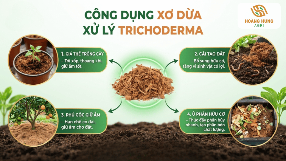 Công dụng của xơ dừa xử lý Trichoderma trong trồng cây và cải tạo đất