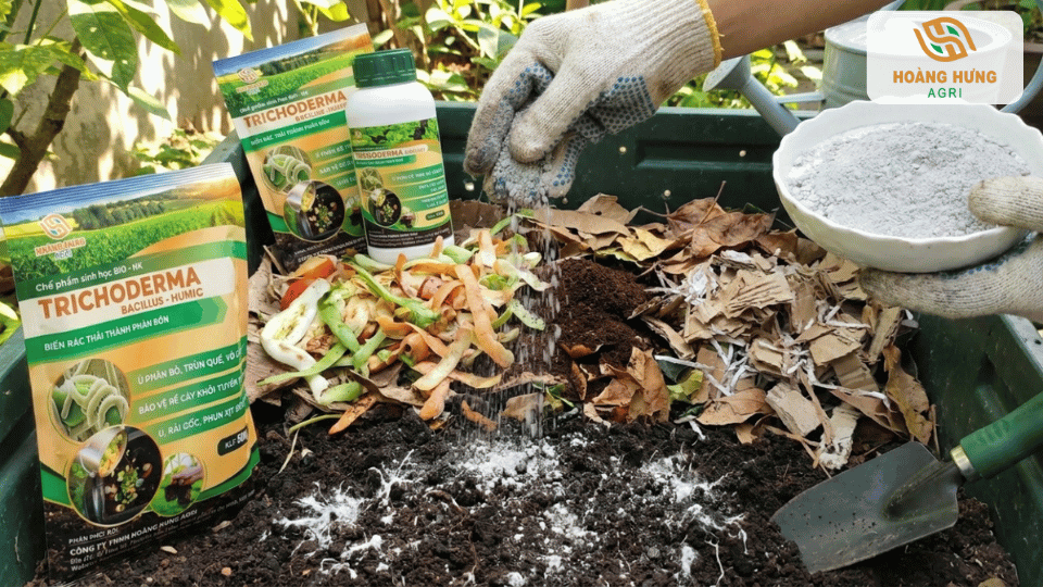 Ủ rác hữu cơ với Trichoderma giúp phân hủy nhanh và tạo nguồn phân compost giàu dinh dưỡng.