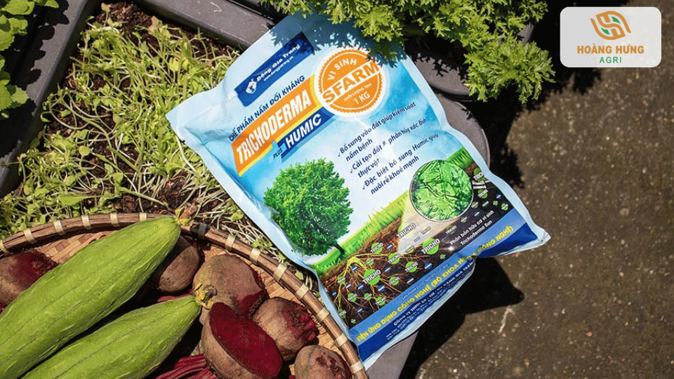 Chế phẩm Trichoderma SFARM hỗ trợ cải tạo đất và ủ phân hữu cơ