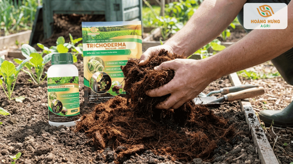 Sử dụng xơ dừa xử lý Trichoderma để giữ ẩm và tăng dinh dưỡng cho đất