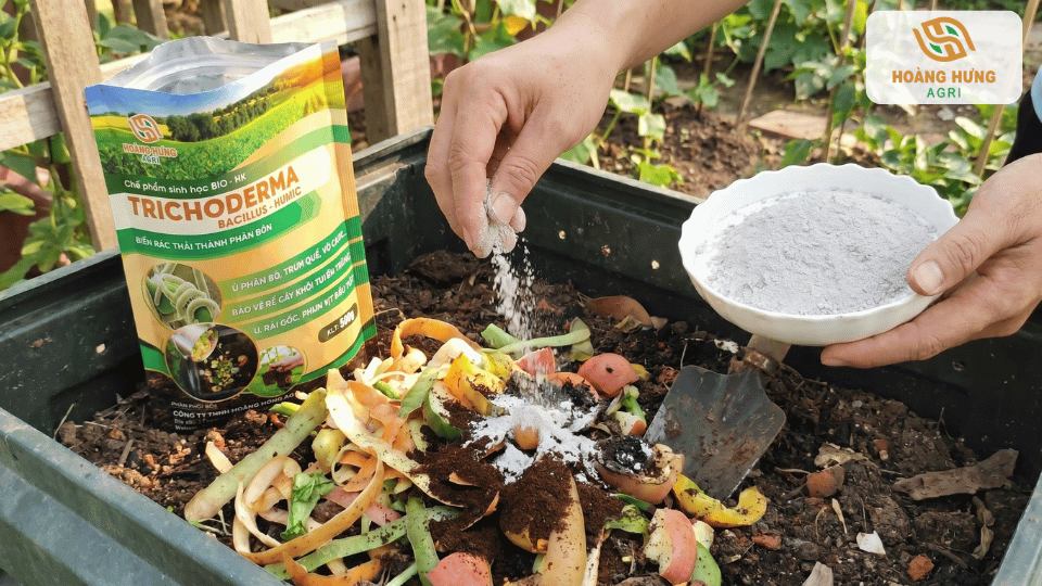 Chế phẩm Trichoderma hỗ trợ phân hủy nhanh rác nhà bếp và tạo đất mùn giàu vi sinh.