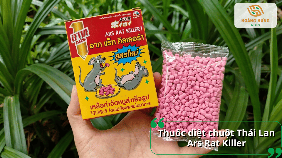 Thuốc diệt chuột Ars Rat Killer dạng viên mồi nhập khẩu giúp kiểm soát chuột nhanh, dễ sử dụng trong nhiều khu vực khác nhau.