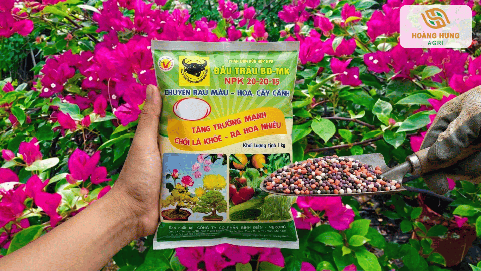 Phân bón NPK Đầu Trâu 20-20-15 dùng cho hoa giấy và cây cảnh