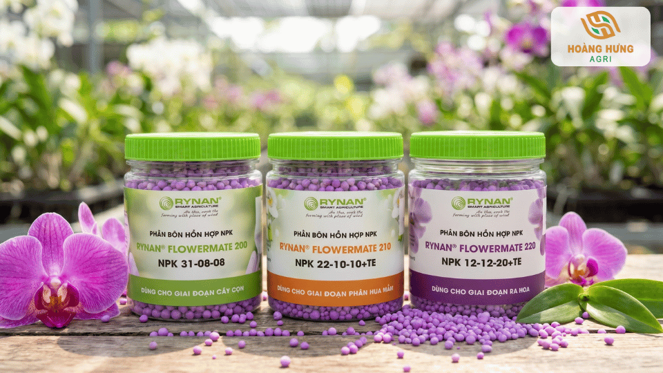 Các dòng phân tan chậm Rynan Flowermate chuyên dùng cho cây con, phân hóa mầm và giai đoạn ra hoa.