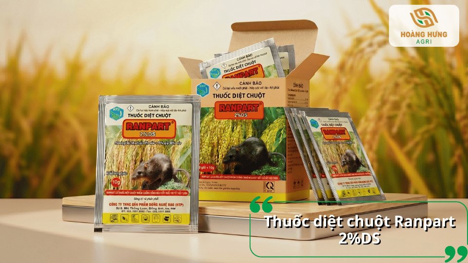 Thuốc diệt chuột Ranpart 2%DS dạng mồi hấp dẫn giúp kiểm soát chuột gây hại, bảo vệ nông sản, kho chứa và môi trường sản xuất.