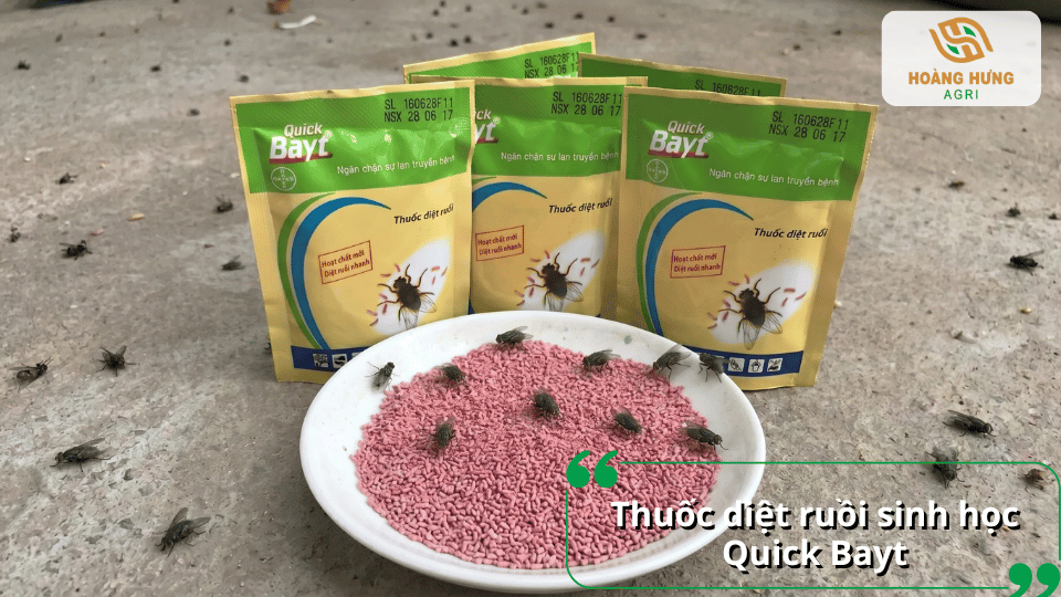 Thuốc diệt ruồi Quick Bayt dạng bả giúp thu hút và tiêu diệt ruồi nhanh, giảm mật độ ruồi và hạn chế lây lan mầm bệnh.