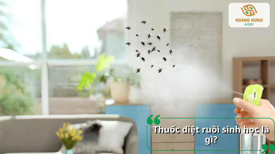 Thuốc diệt ruồi sinh học là giải pháp kiểm soát ruồi hiệu quả, giúp giảm mật độ ruồi và hạn chế nguy cơ