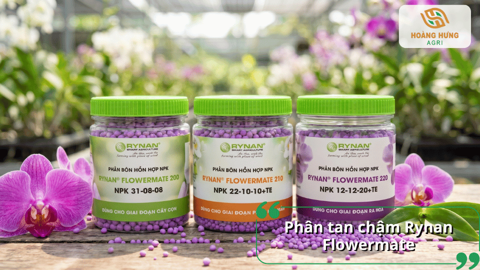 Phân tan chậm Rynan Flowermate cung cấp dinh dưỡng ổn định cho lan hồ điệp