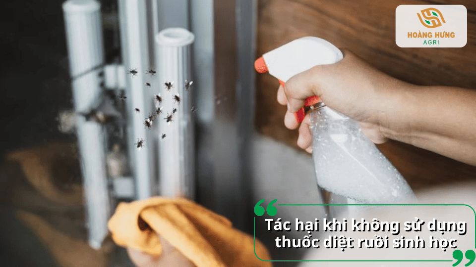 Không sử dụng thuốc diệt ruồi sinh học khiến ruồi sinh sôi nhanh, làm tăng nguy cơ ô nhiễm thực phẩm