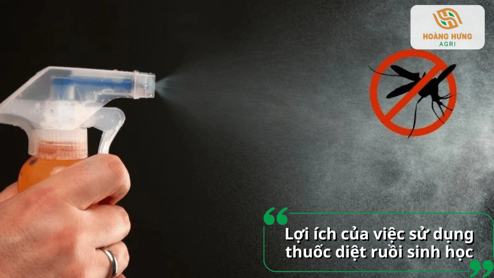 Thuốc diệt ruồi sinh học giúp tiêu diệt ruồi hiệu quả, bảo vệ sức khỏe, giảm nguy cơ ô nhiễm