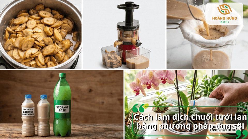 Hướng dẫn làm dịch chuối tưới lan bằng phương pháp đun sôi giúp chiết xuất dưỡng chất nhanh chóng.