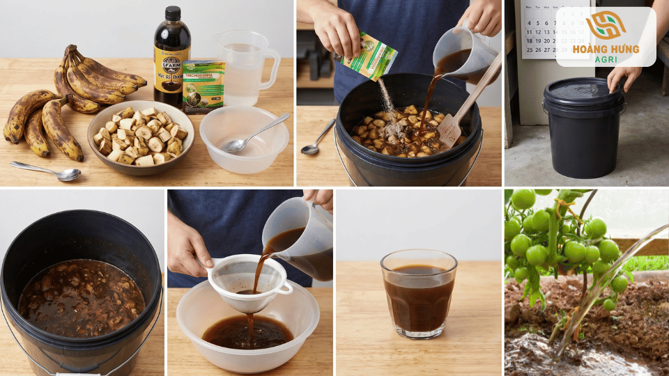Các bước ủ dịch chuối với Trichoderma từ chuẩn bị nguyên liệu, phối trộn, lên men đến sử dụng cho cây trồng
