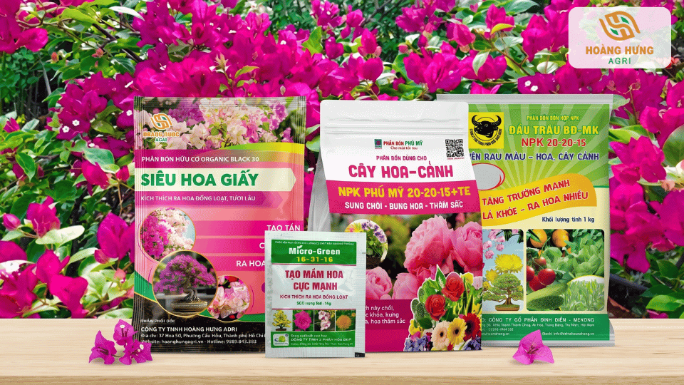 Một số loại phân bón NPK dành cho hoa giấy và cây cảnh giúp kích thích ra ho
