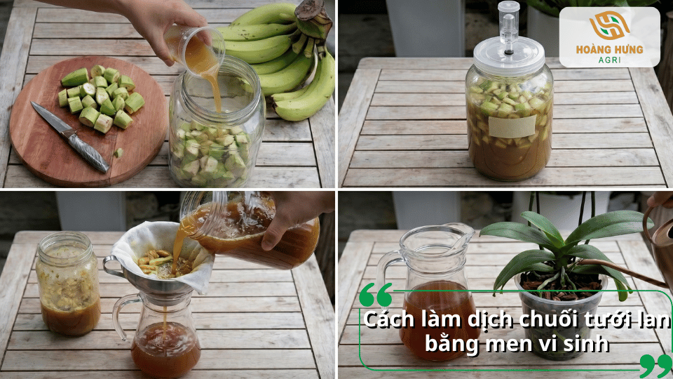 Ủ dịch chuối với men vi sinh giúp tăng hiệu quả lên men và tạo nguồn phân bón hữu cơ cho lan.
