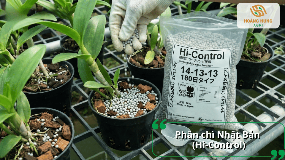 Phân chì Nhật Bản Hi-Control dành cho lan với cơ chế nhả chậm giúp cung cấp dinh dưỡng ổn định trong thời gian dài.