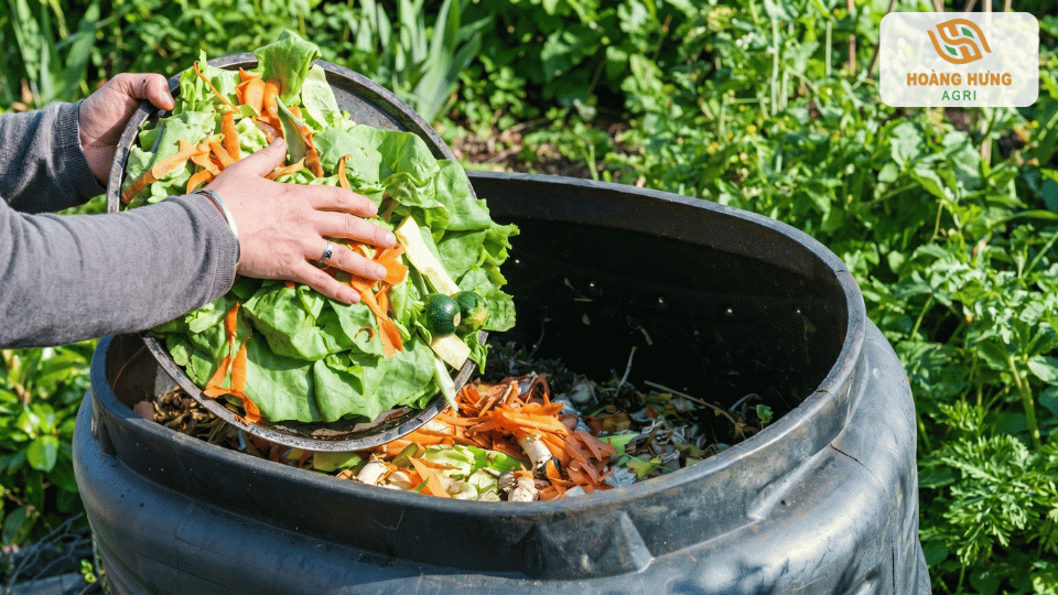 Cho rác hữu cơ vào thùng ủ compost để tạo phân bón sinh học tại nhà