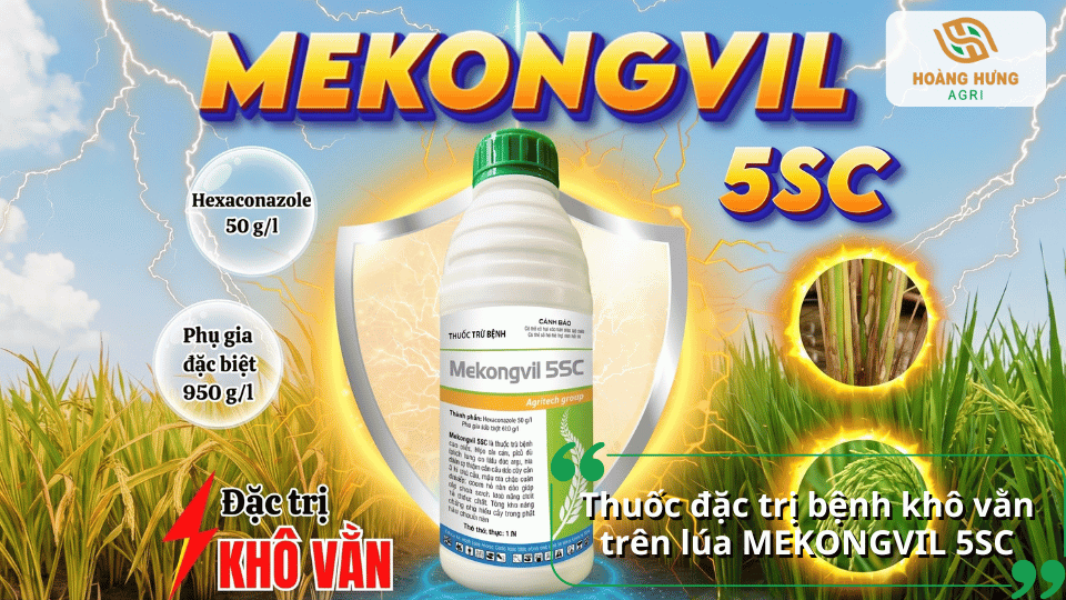 Thuốc Mekongvil 5SC đặc trị bệnh khô vằn trên lúa với hiệu quả phòng trừ cao.