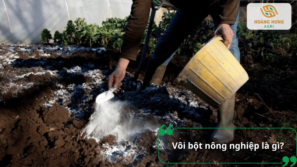 Vôi bột nông nghiệp giúp cải tạo đất và cân bằng độ pH cho cây tiêu
