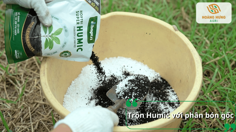 Cách trộn Humic với phân bón gốc giúp tăng hiệu quả sử dụng