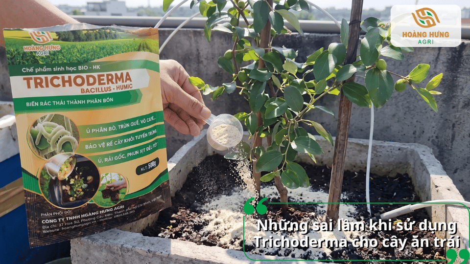 Những sai lầm thường gặp khi sử dụng Trichoderma cho cây ăn trái