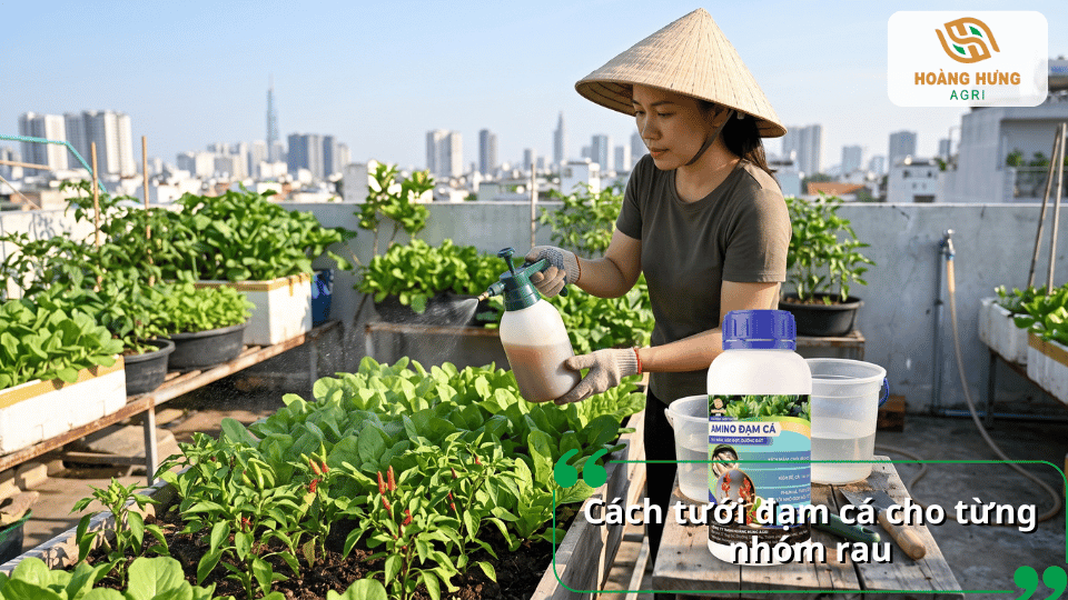 Cách tưới đạm cá cho từng nhóm rau ăn lá, rau ăn quả và rau gia vị đúng kỹ thuật.