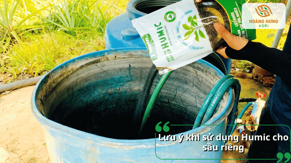 Lưu ý khi sử dụng Humic cho cây sầu riêng đúng kỹ thuật
