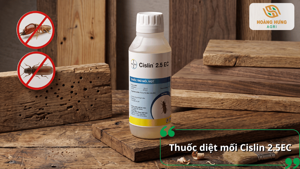 Thuốc diệt mối Cislin 2.5EC xử lý mối mọt trên gỗ