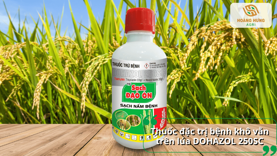 Thuốc Dohazol 250SC đặc trị bệnh khô vằn trên lúa, giúp bảo vệ năng suất mùa vụ.