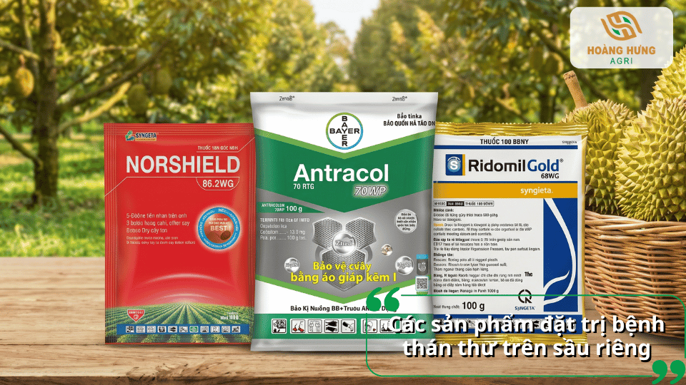 Các sản phẩm đặc trị bệnh thán thư trên sầu riêng giúp kiểm soát nấm bệnh hiệu quả.