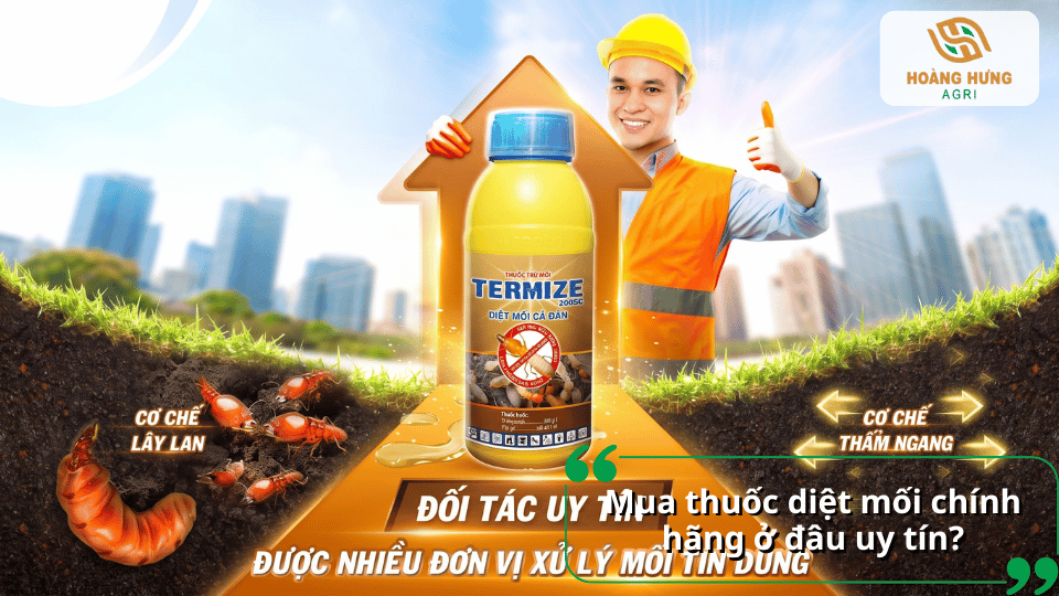 Mua thuốc diệt mối chính hãng uy tín, hiệu quả cao