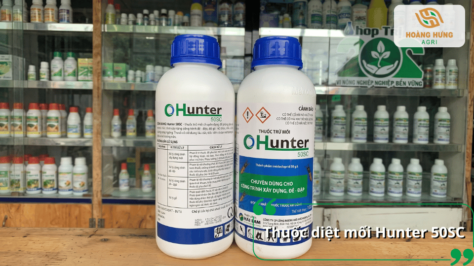 Thuốc diệt mối Hunter 50SC bảo vệ công trình khỏi mối mọt