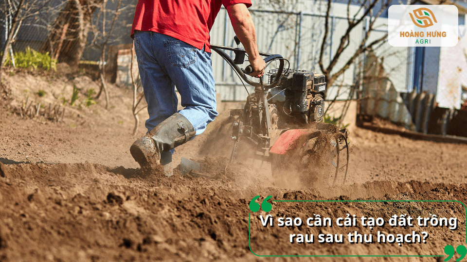 Nông dân sử dụng máy xới đất để làm tơi và cải tạo đất trồng rau sau một vụ thu hoạch.