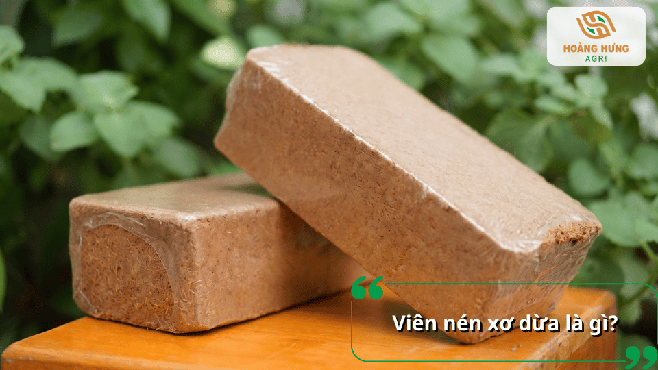 Viên nén xơ dừa là giá thể được ép thành dạng bánh từ nguyên liệu xơ dừa, dùng để trồng cây và ươm hạt.