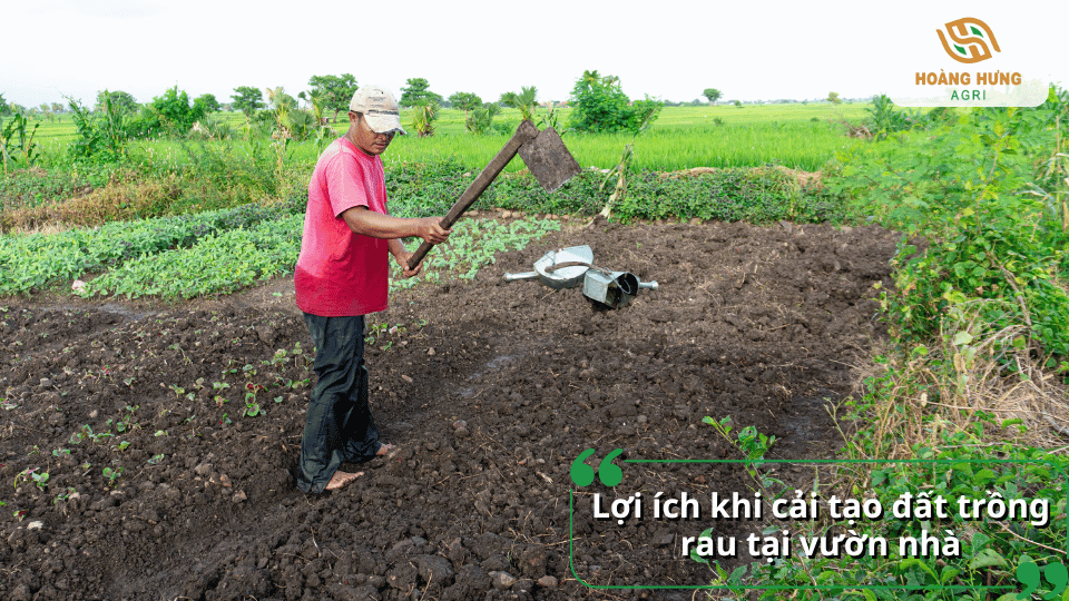 Người nông dân dùng cuốc xới đất và chuẩn bị mặt luống nhằm cải thiện điều kiện đất trồng rau.