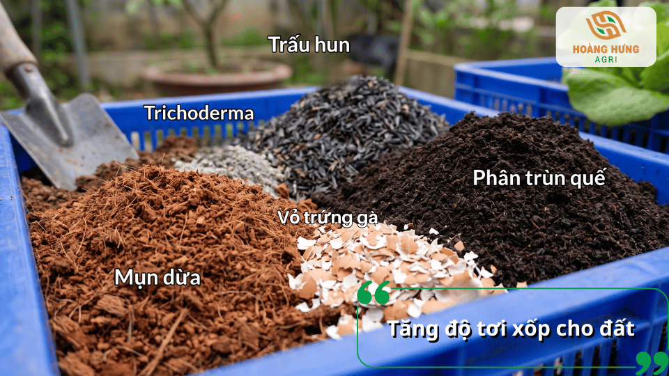 Tăng độ tơi xốp cho đất bằng cách bổ sung mụn dừa, trấu hun, phân trùn quế, vỏ trứng và Trichoderma.