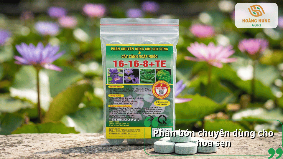 Phân bón chuyên dụng 16-16-8+TE cho hoa sen súng.