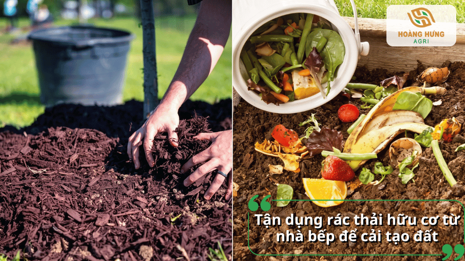 Tận dụng rác thải hữu cơ từ nhà bếp để tạo nguồn phân hữu cơ và cải tạo đất trồng hiệu quả.
