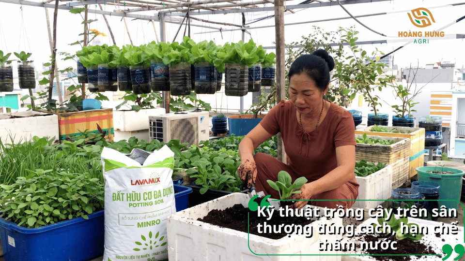 Người làm vườn sử dụng đất hữu cơ Lavamix để trồng cây trong các thùng xốp trên sân thượng.