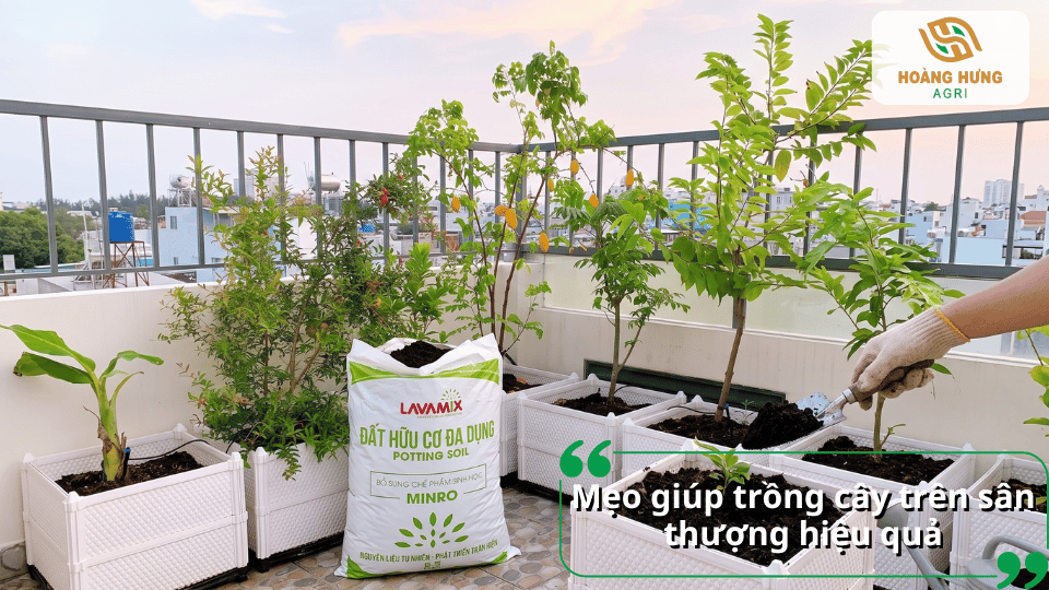 Vườn cây trên sân thượng được bố trí trong các chậu và thùng trồng với đất hữu cơ Lavamix.