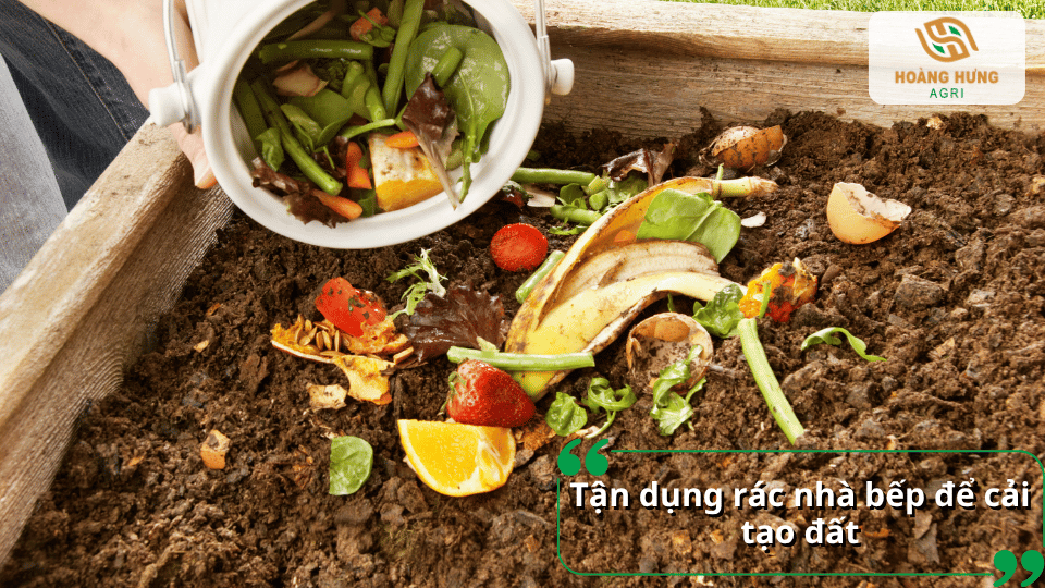 Tận dụng các loại rác hữu cơ từ rau củ và thực phẩm để ủ làm phân hữu cơ cải tạo đất trồng rau.